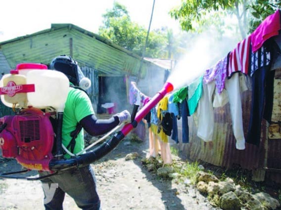 Casos de dengue en Américas y Caribe se quintuplicaron en la última década