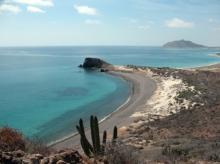 Celebra Greenpeace anuncio de cancelación del megaproyecto turístico de Cabo Cortés