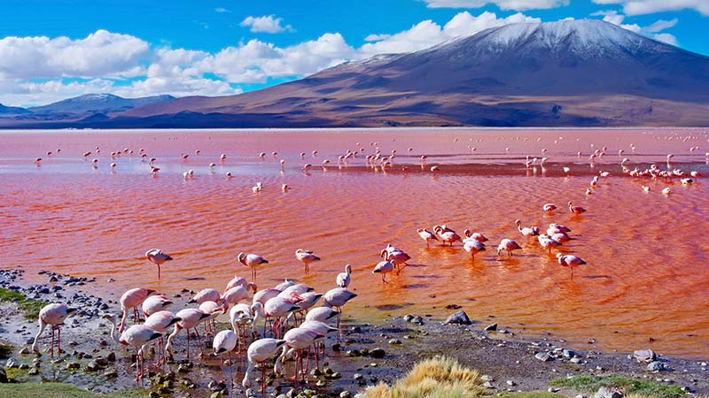 Bolivia enlaza cine y turismo