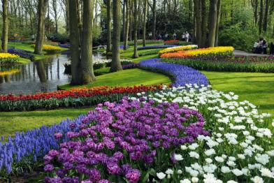 destinos florales del mundo