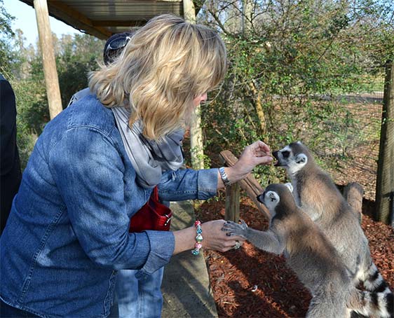 Visit Central Florida presenta sus atracciones en Cita de las Américas