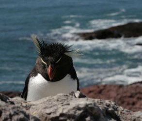 Turismo de naturaleza en la provincia argentina de Santa Cruz