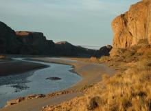 Travesía por los caminos de Darwin en la Argentina