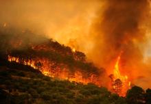 incendios forestales en España y el eclipse