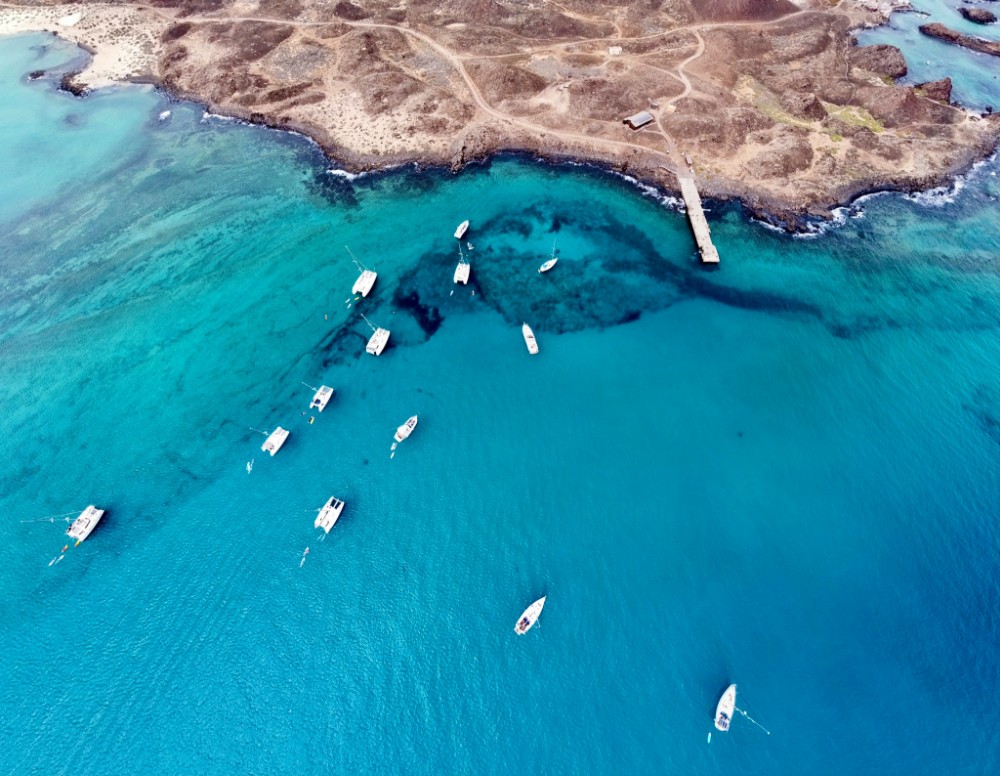 Canarias Mesa del Turismo