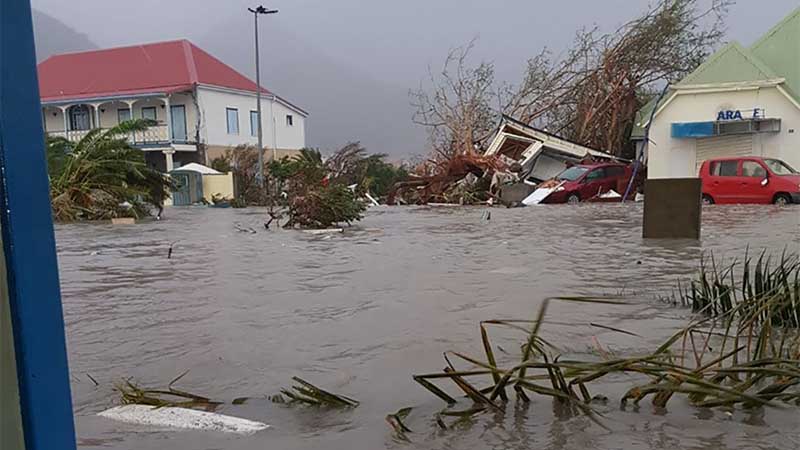 Google apoya recuperación de Puerto Rico