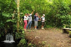 Costa Rica cuenta con 12 sitios para Ruta nacional de las aves 