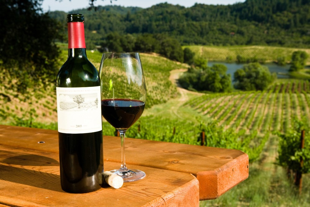 botella de vino en una mesa y viñero en la distancia