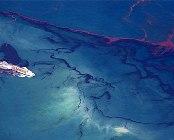 Estados Unidos: A un mes del inicio del derrame, la marea negra toca la costa de Luisiana y pone en alerta la Florida