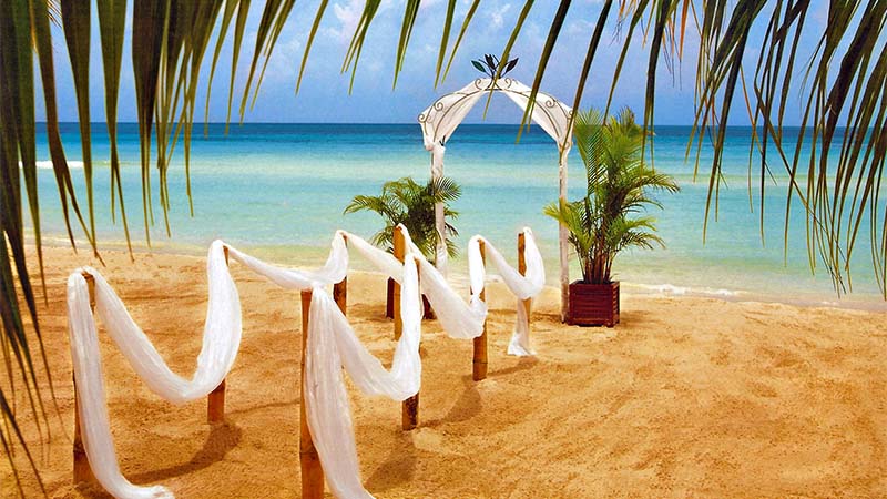 Di que sí en una playa