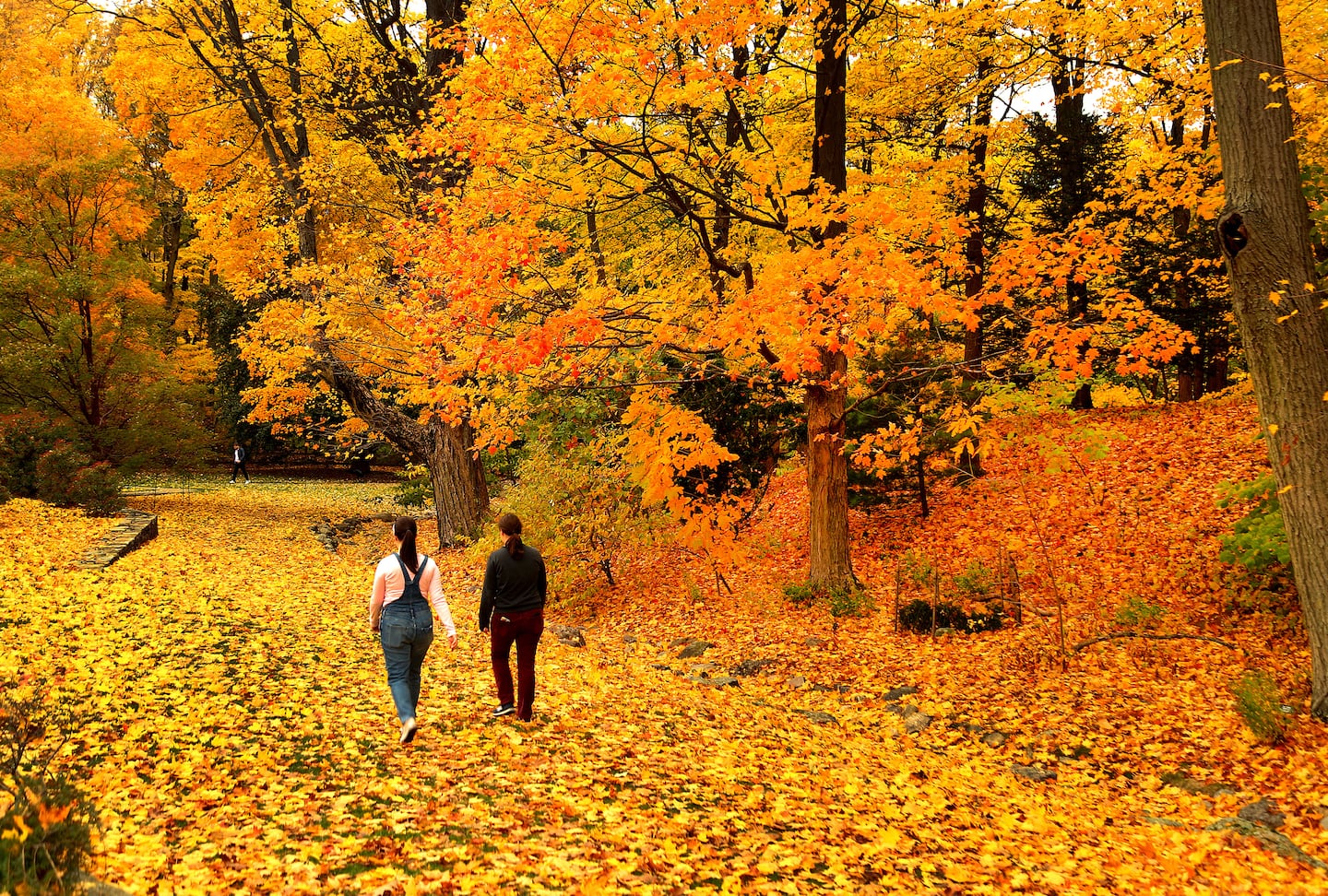 rutas de otoño