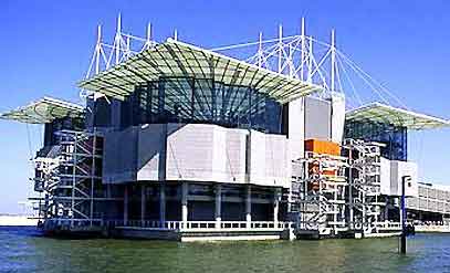 Oceanário de Lisboa, segundo mejor acuario del mundo según TripAdvisor