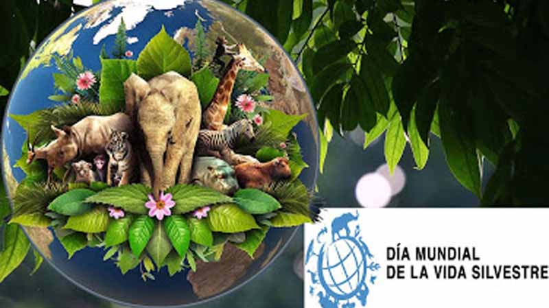 OMT premia a periodistas