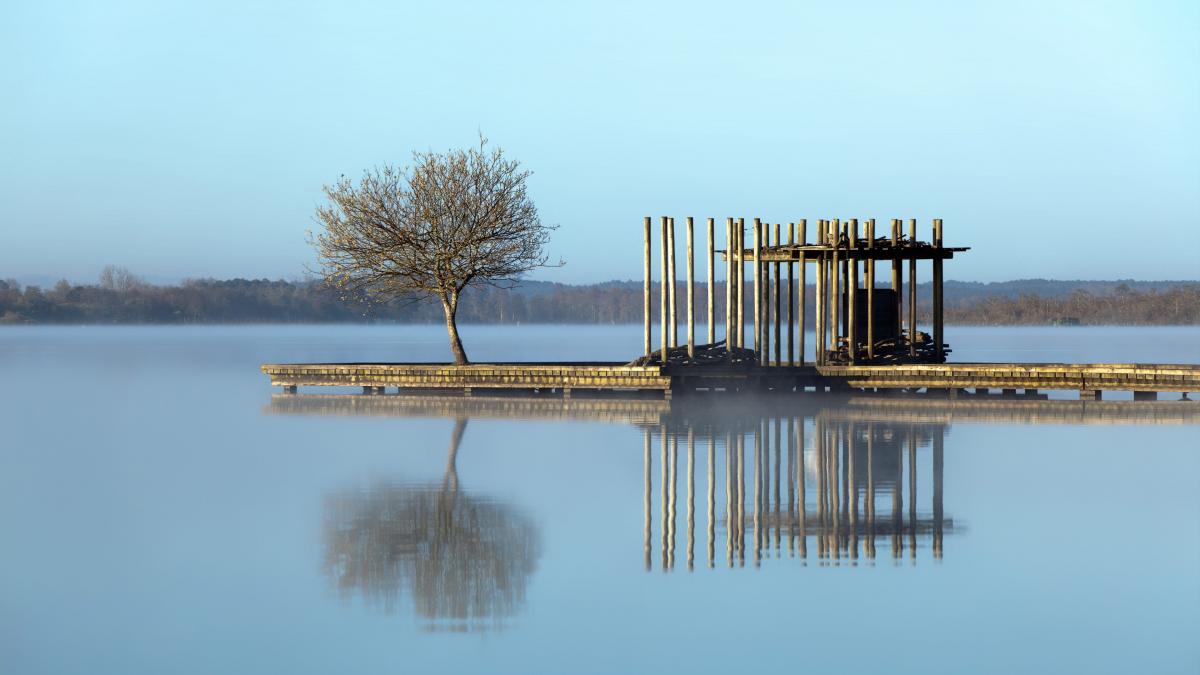 paisaje acuático, árbol y caseta