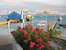 Anguila: Vivirlo para creerlo