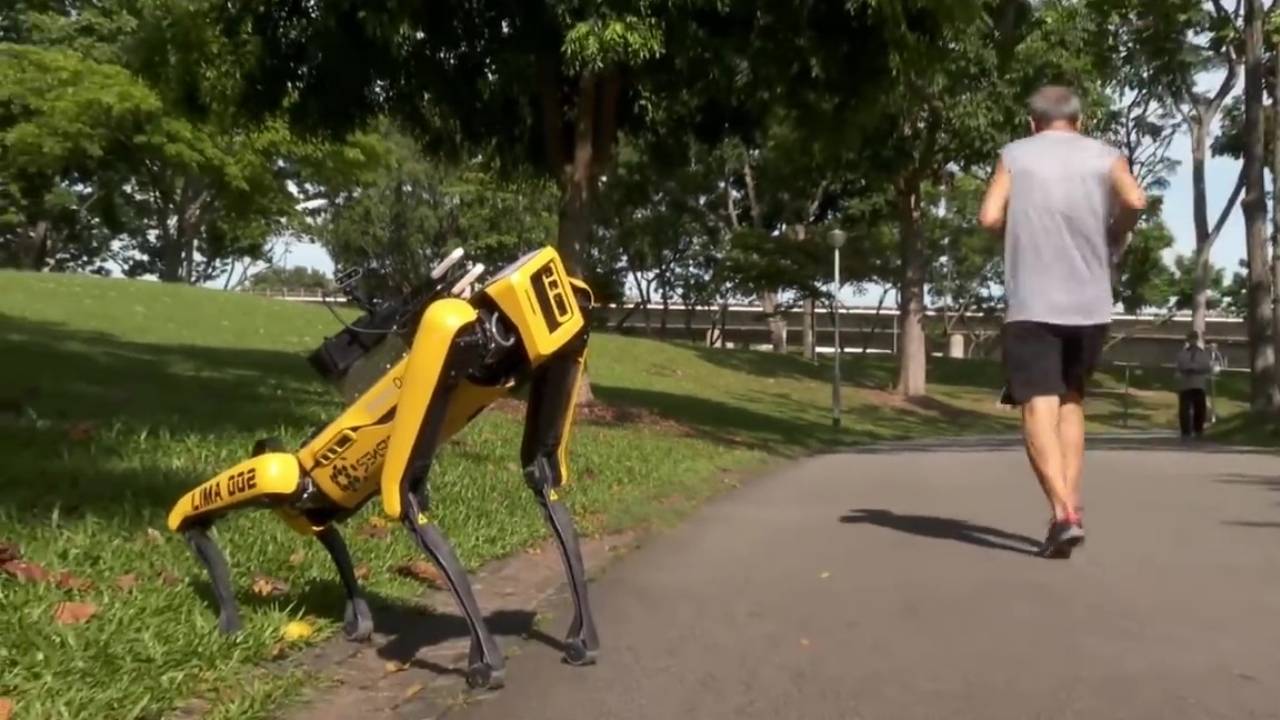 perro robot en parque