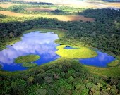 Brasil: Recorriendo el Gran Pantanal de Mato Grosso