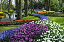destinos florales del mundo