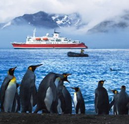 Argentina: Continúa descendiendo cifra de turistas hacia la Antártida, según la Asociación Internacional de Tour Operadores Antárticos