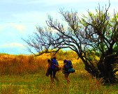 Conciencia sobre medio ambiente, cultura e interconectividad modelan nuevo viajero y cambiante industria de viajes