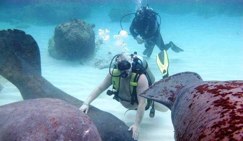 Alemania promoverá el desarrollo ecoturístico en República Dominicana