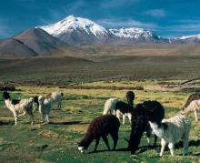 Parques Nacionales de Chile, contraste de paisajes