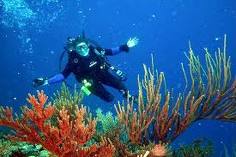 España: Nobeltours incorpora a su oferta viajes que combinan turismo y buceo