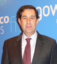 Gowaii: Opciones para organizar su viaje con la mayor libertad