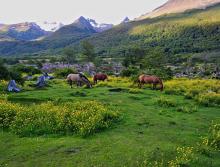 Glamping en Argentina