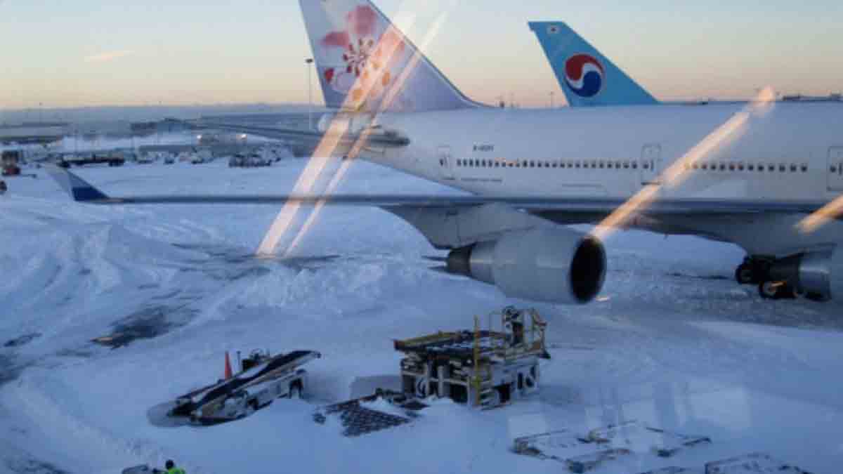 Aeropuerto JFK vuelve a la normalidad