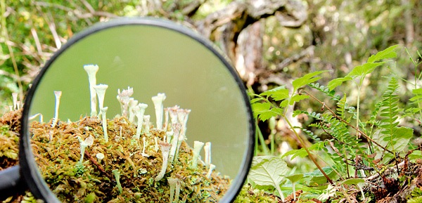 Turismo 2017: un año sostenible