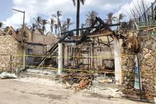 Viva Dominicus Beach by Wyndham