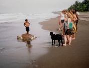 Costa Rica: Una página web ofrece detalles para apreciar el desove de las tortugas