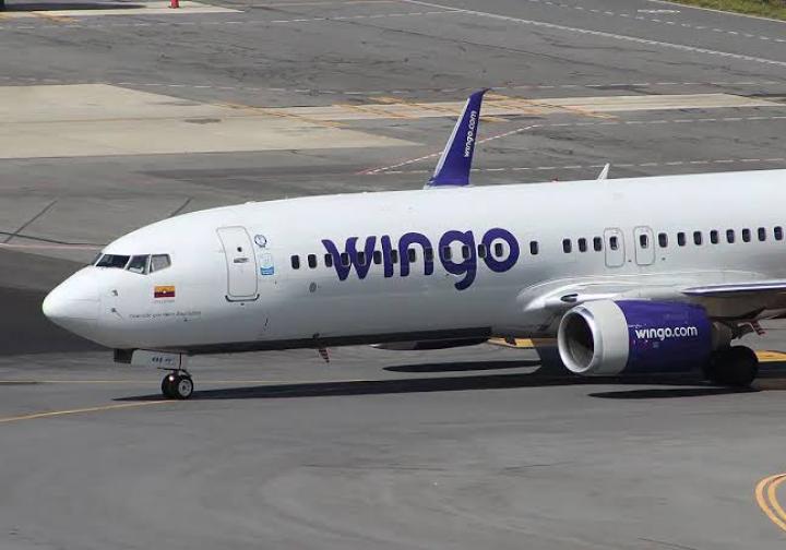 Wingo