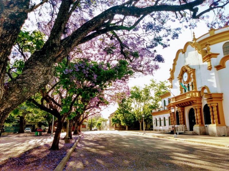 Vista de Chascomús