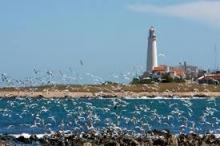 Uruguay presenta su temporada turística