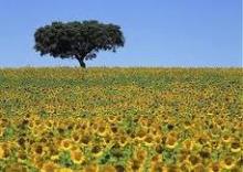 Portugal: El Alentejo, un nuevo despertar para todos los sentidos