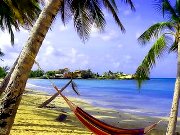 Martinica, paraíso culinario en el Caribe