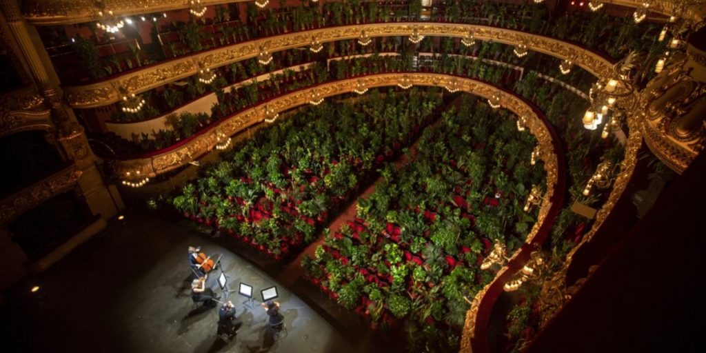 plantas en concierto en Barcelona