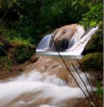 Celebran en Cuba primer Concurso de Fotografía Naturaleza Digital 2012