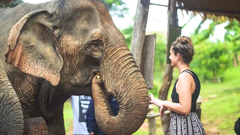 OMT presenta un Concurso de Viajeros Responsables
