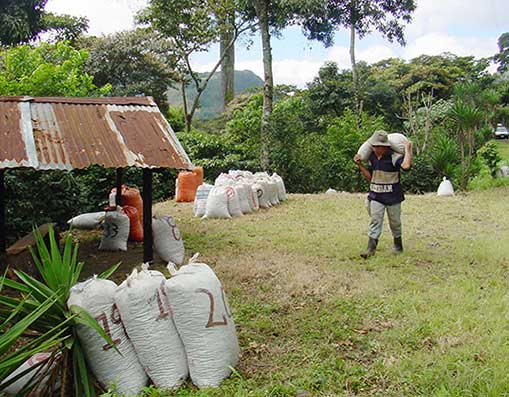 Nicaragua presenta la Ruta del Café