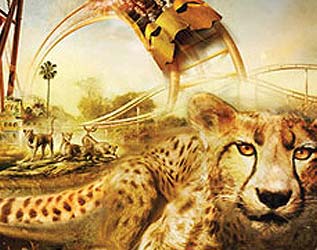 Estados Unidos: Cheetah Hunt, nueva atracción en Busch Gardens