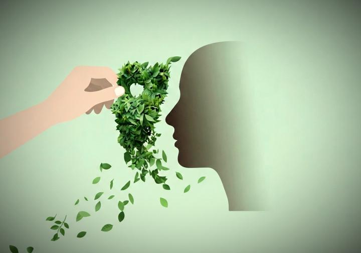 greenwashing