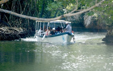 Exponen avances legislativos para protección ambiental en el Caribe