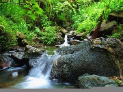 Puerto Rico intensificará promoción de El Yunque como una de las nuevas maravillas del mundo