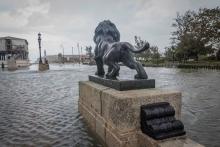 Estados del Caribe y América Latina ¿cómo ser más resilientes y sostenibles?