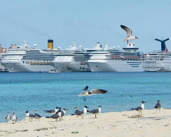 El Caribe reafirma su liderazgo con más tráfico de cruceros en 2014