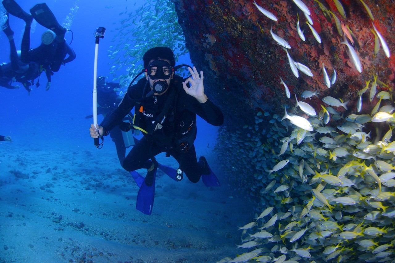 buceo en el Caribe