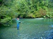 Costa Rica: Llegan más turistas para practicar la pesca deportiva